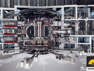 Schema des Fusionsreaktors ITER. © Oak Ridge National Laboratory